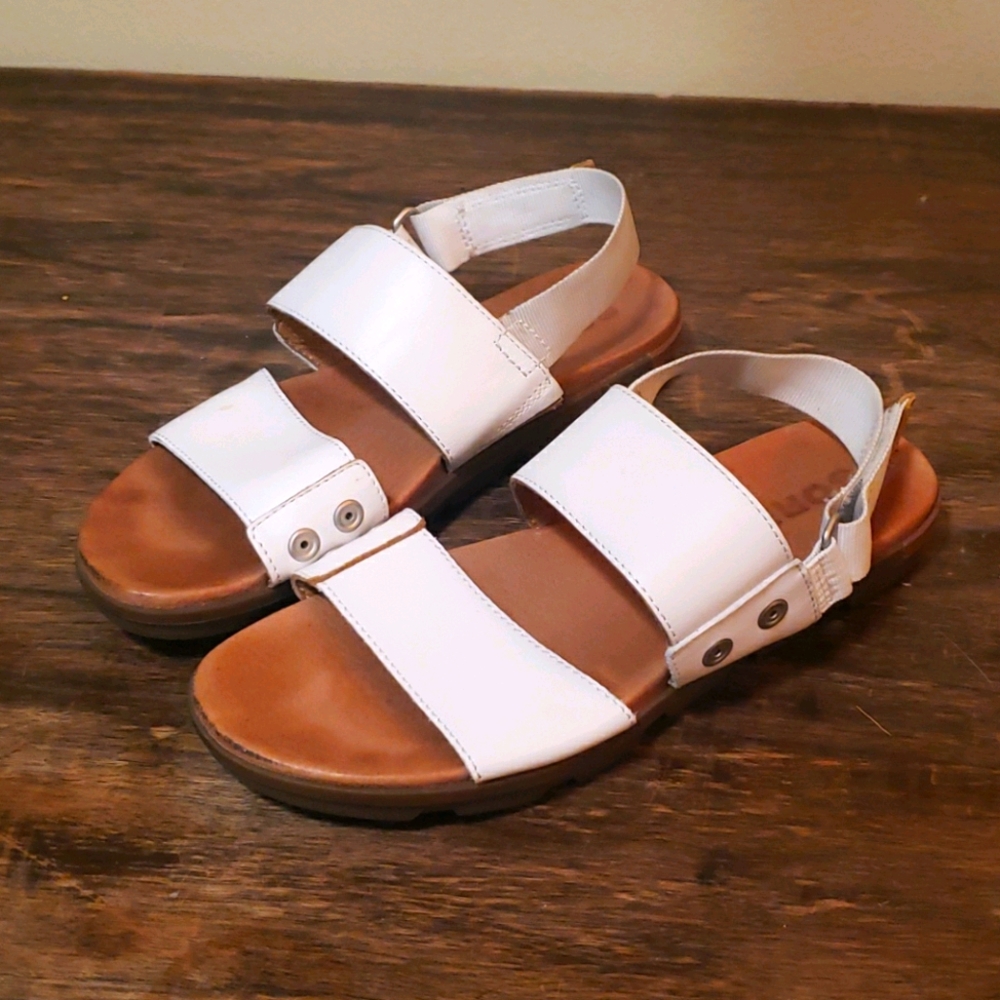 Sorel